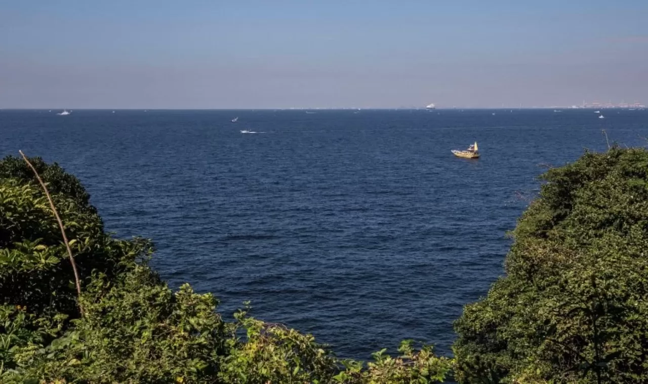 Deniz Simidiyle 36 Saat Suda Kaldıktan Sonra Kurtarılan Çinli Kadın, Tokyonun Güneyinde Hastaneye Kaldırıldı