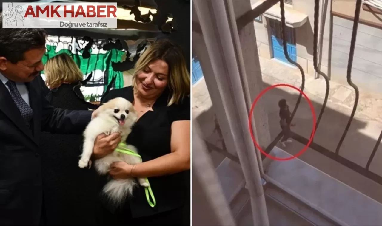 Eskişehir'de köpeğine eziyet eden şahıs, tehditler savurdu. Başsavcılığın itirazı sonrası tekrar gözaltına alındı.