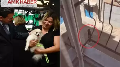 Eskişehir'de köpeğine eziyet eden şahıs, tehditler savurdu. Başsavcılığın itirazı sonrası tekrar gözaltına alındı.