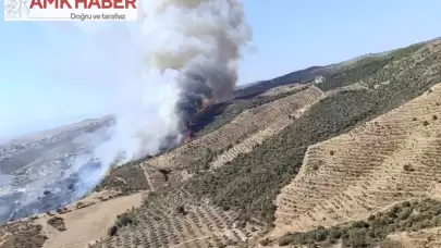 İzmir'in Urla ilçesinde Makilik Alanda Çıkan Yangın söndürülmeye çalışılıyor