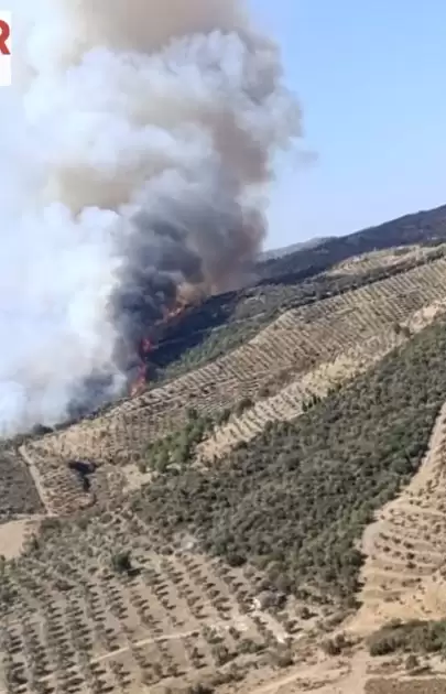 İzmir'in Urla ilçesinde Makilik Alanda Çıkan Yangın söndürülmeye çalışılıyor