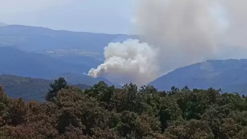 Bursa'da Orman Yangını Kontrol Altına Alınıyor