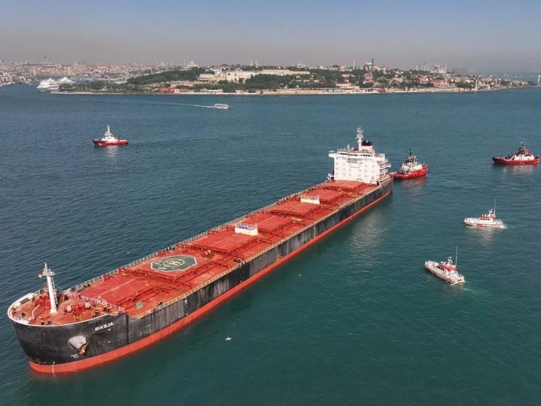 İstanbul Boğazı'nda Lionfish Gemisinin Arızası Nedeniyle Gemi Trafiği Durduruldu