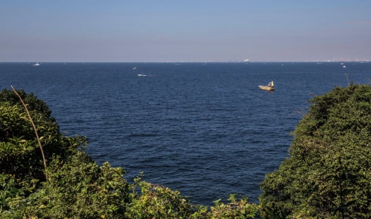 Deniz Simidiyle 36 Saat Suda Kaldıktan Sonra Kurtarılan Çinli Kadın, Tokyonun Güneyinde Hastaneye Kaldırıldı