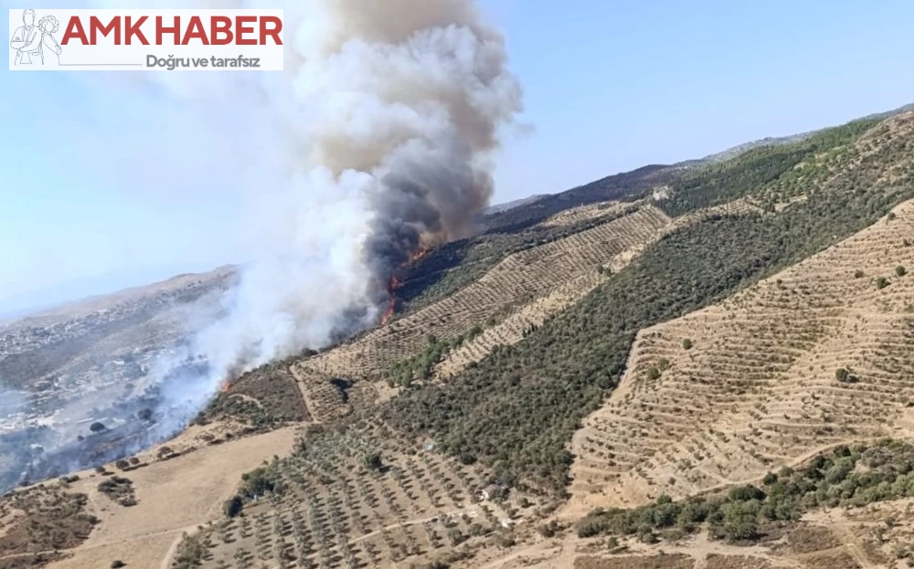 İzmir'in Urla ilçesinde Makilik Alanda Çıkan Yangın söndürülmeye çalışılıyor